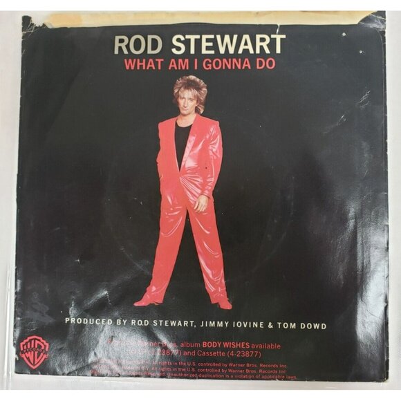 Record 45 RPM Vinyl Rod Stewart- What Am I Gonna Do/ Dancin' Alone - Picture 2 of 6